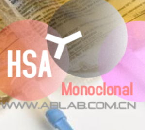 小鼠抗人白蛋白（Monoclonal Mouse Anti-HSA）