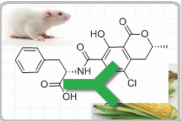 小鼠抗赭曲霉素（Monoclonal Mouse Anti-Ochratoxin ）