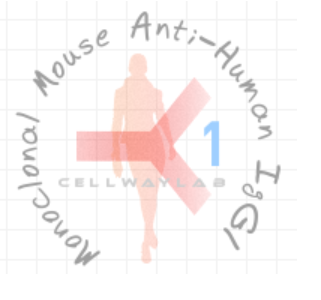 小鼠抗人IgG1（Monoclonal Mouse Anti-Human IgG1）